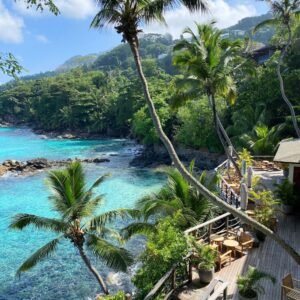 Memory Training Courses in Seychelles